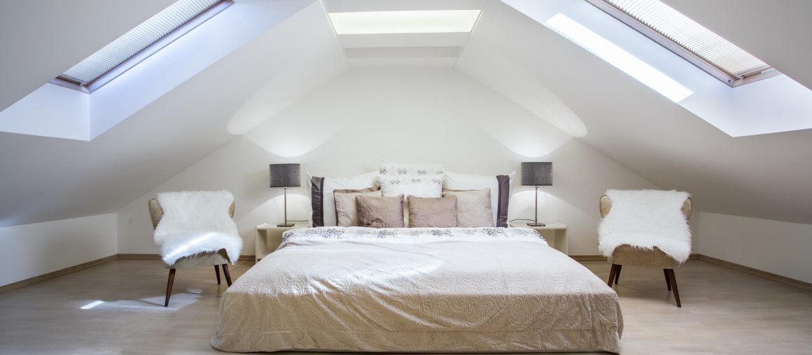 Exclusive Accessories